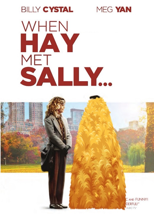 Meg Ryan looking at a stack of hay, in When Hay Met Sally.